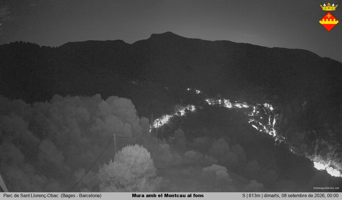 Mura amb el Montcau al fons