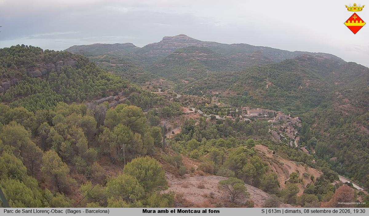 Mura amb el Montcau al fons