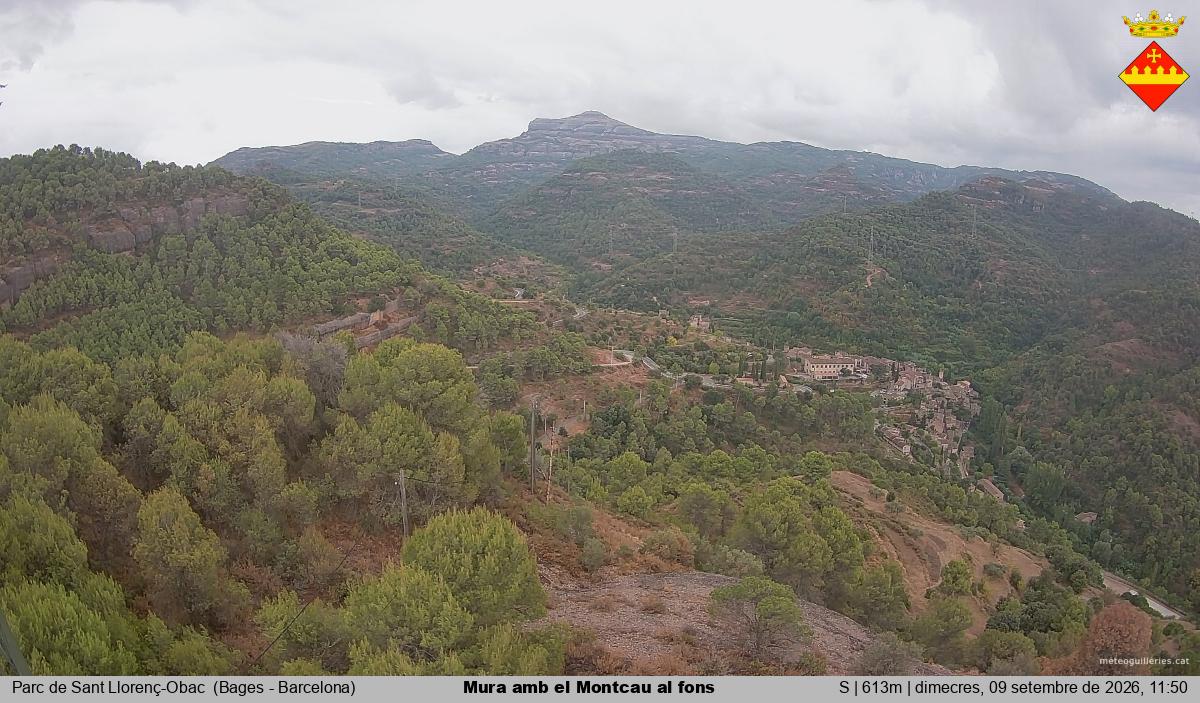 Mura amb el Montcau al fons
