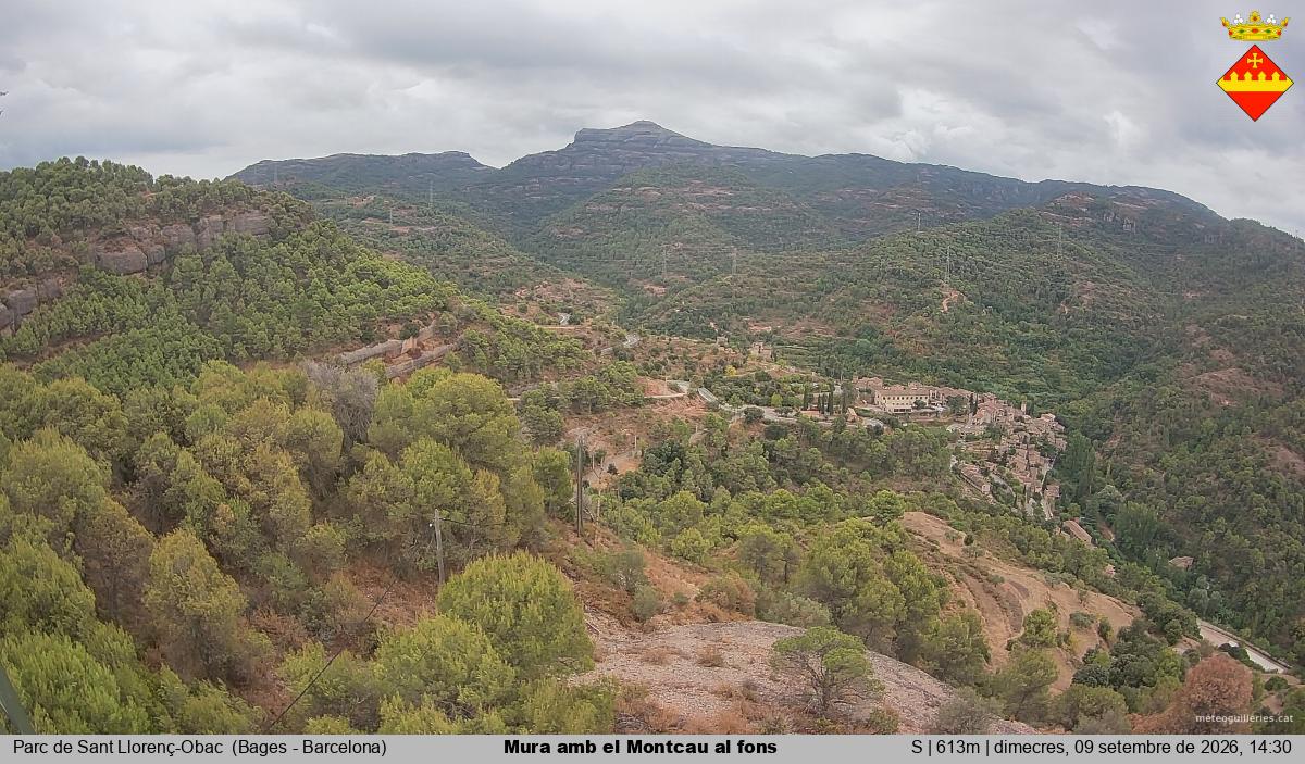 Mura amb el Montcau al fons