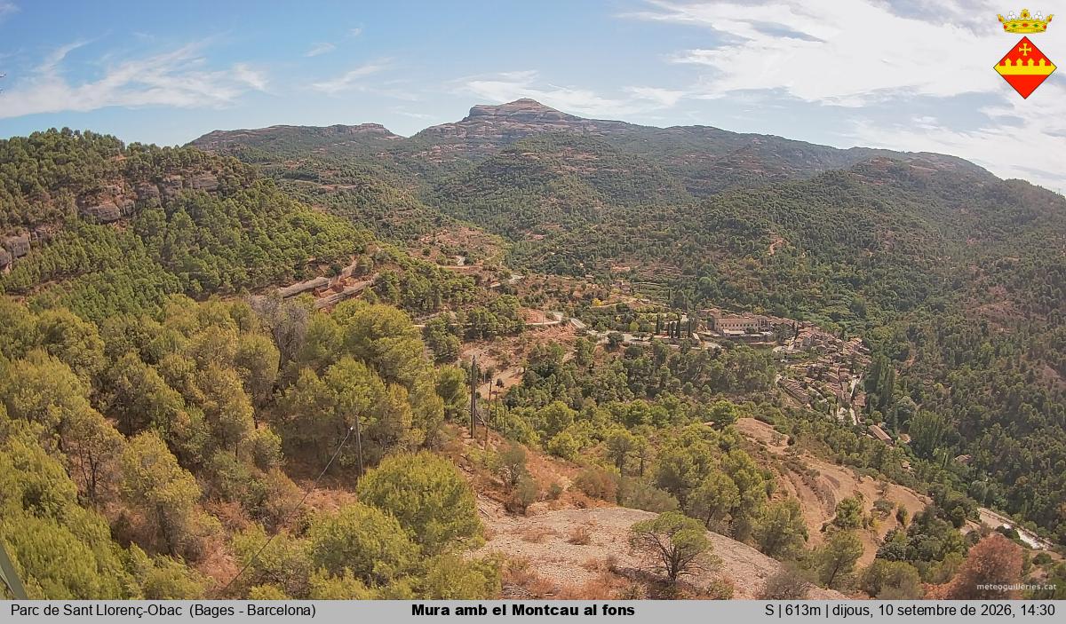Mura amb el Montcau al fons