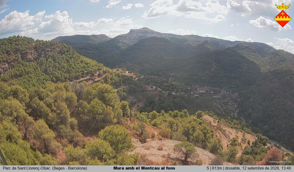Mura amb el Montcau al fons