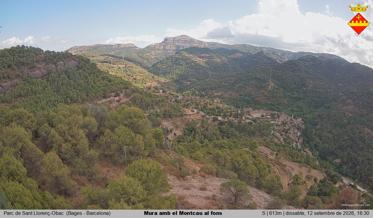 Mura amb el Montcau al fons