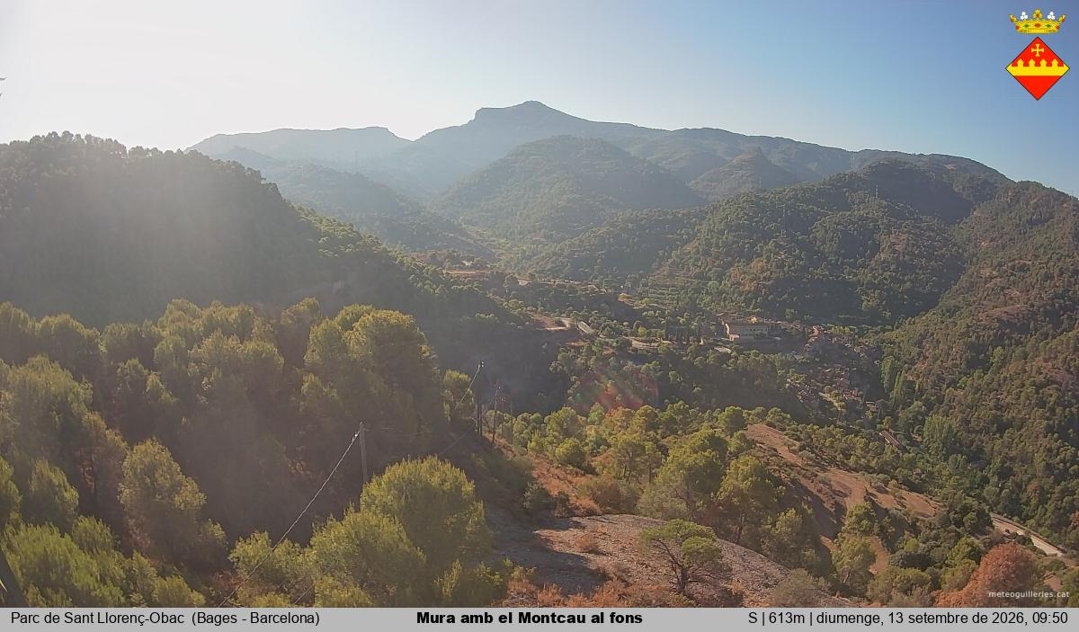 Mura amb el Montcau al fons