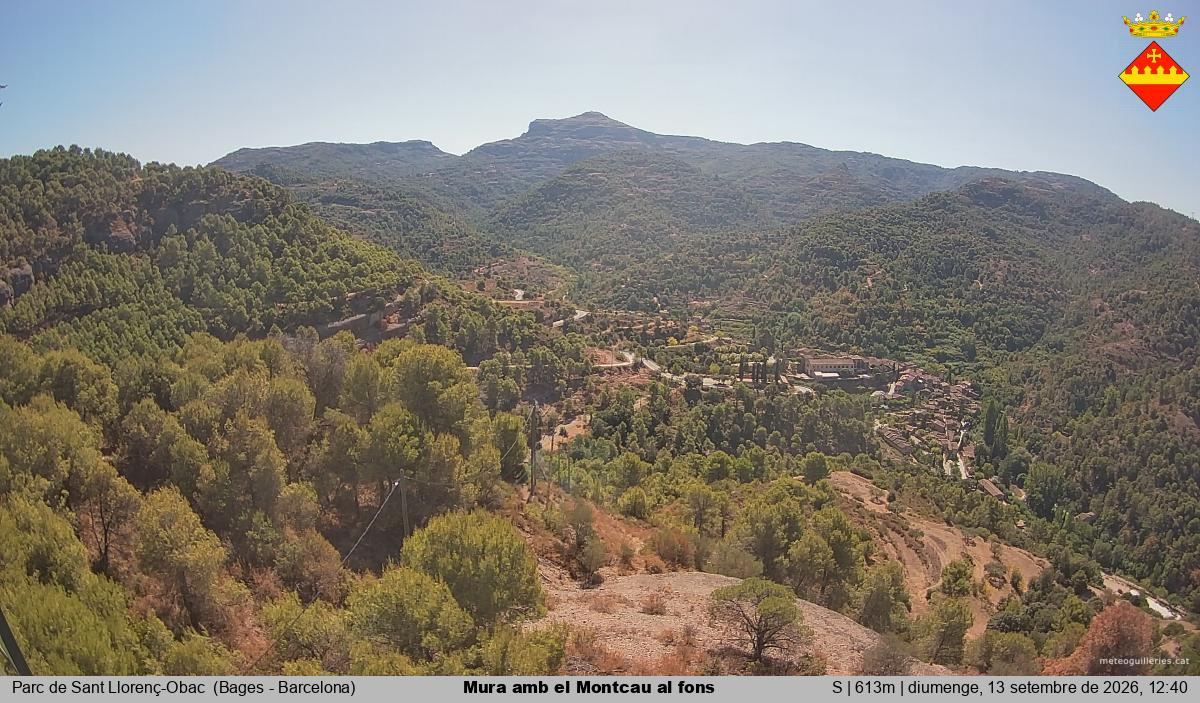 Mura amb el Montcau al fons