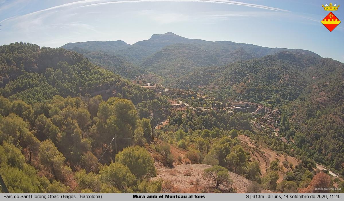 Mura amb el Montcau al fons