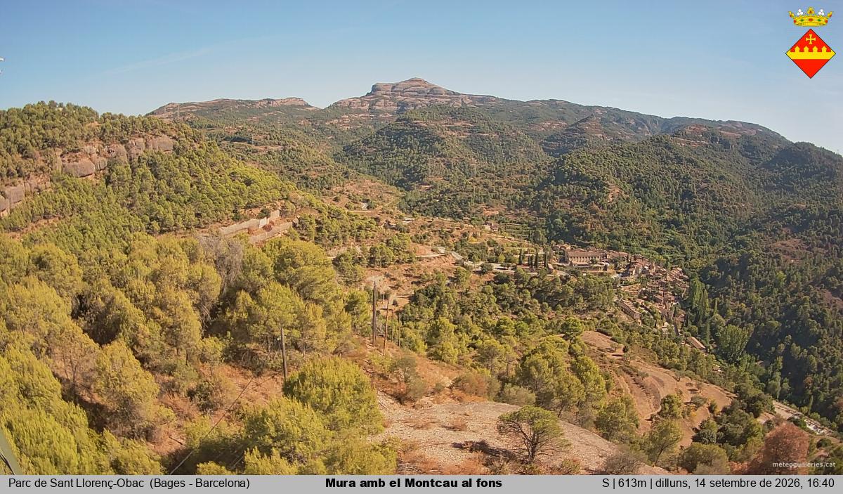 Mura amb el Montcau al fons
