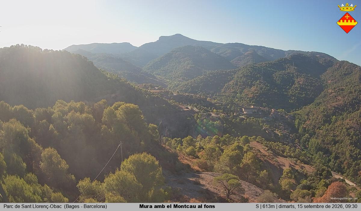 Mura amb el Montcau al fons