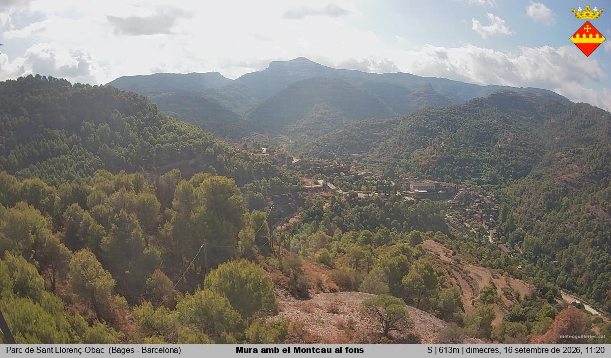 Mura amb el Montcau al fons