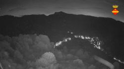 Webcams