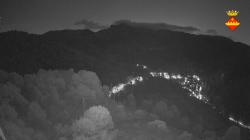 Webcams