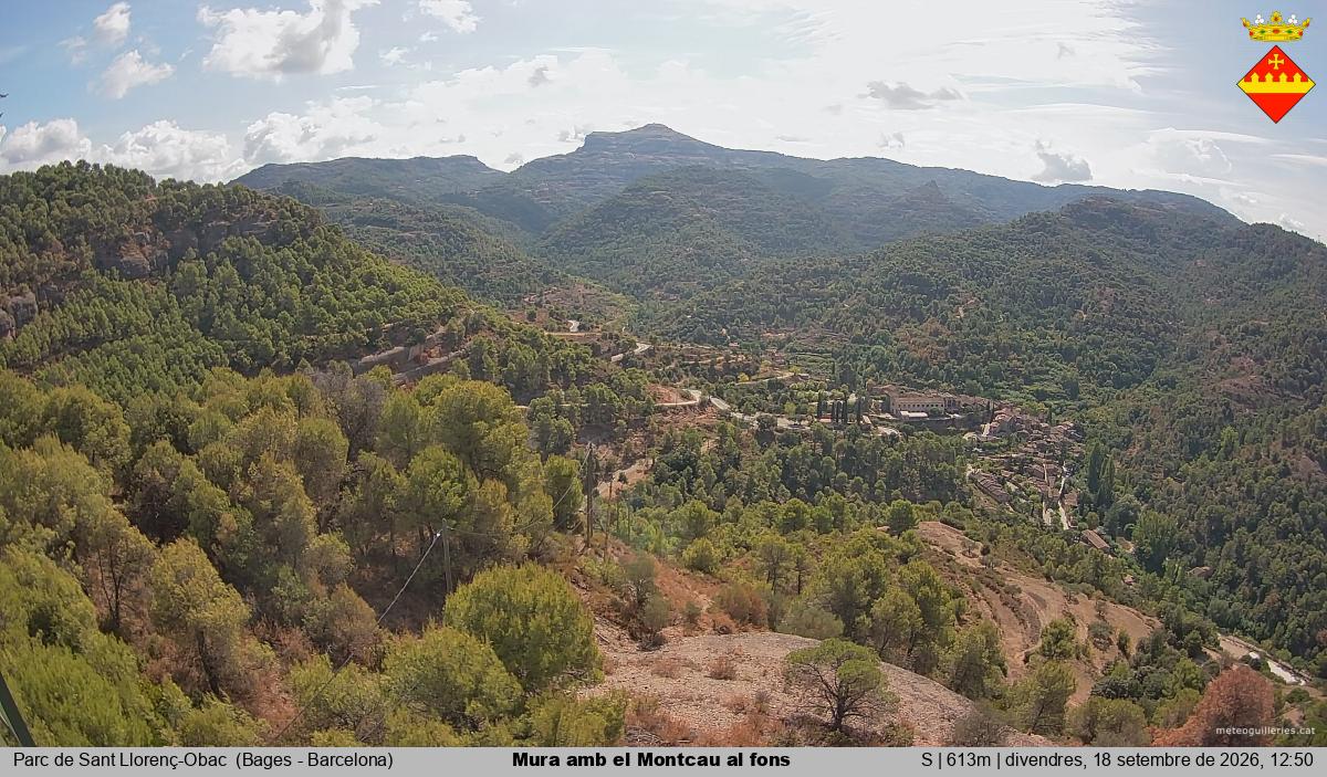 Mura amb el Montcau al fons