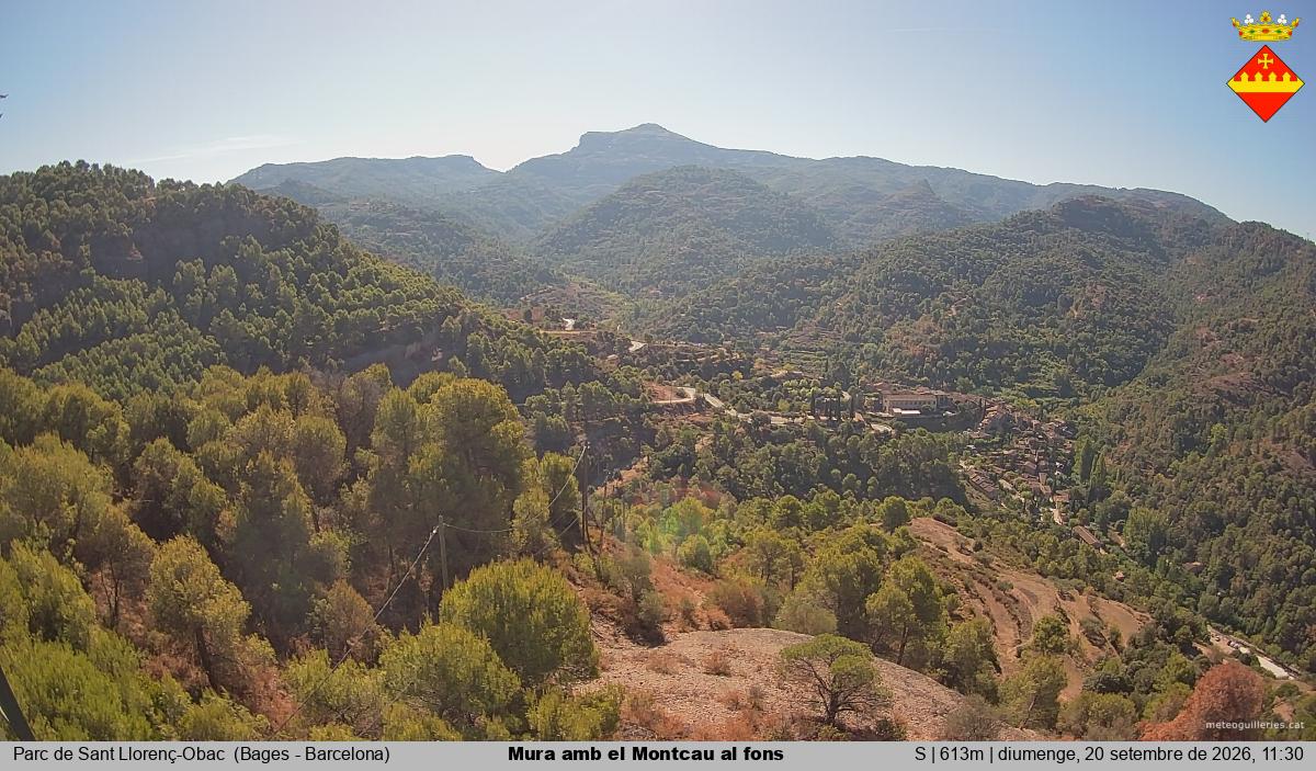 Mura amb el Montcau al fons