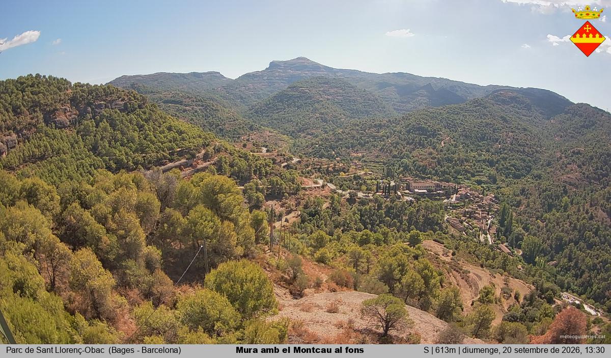Mura amb el Montcau al fons