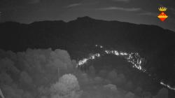 Webcams