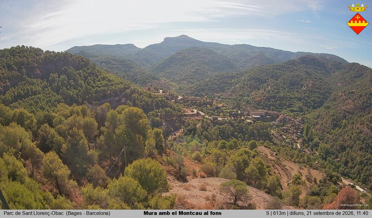 Mura amb el Montcau al fons