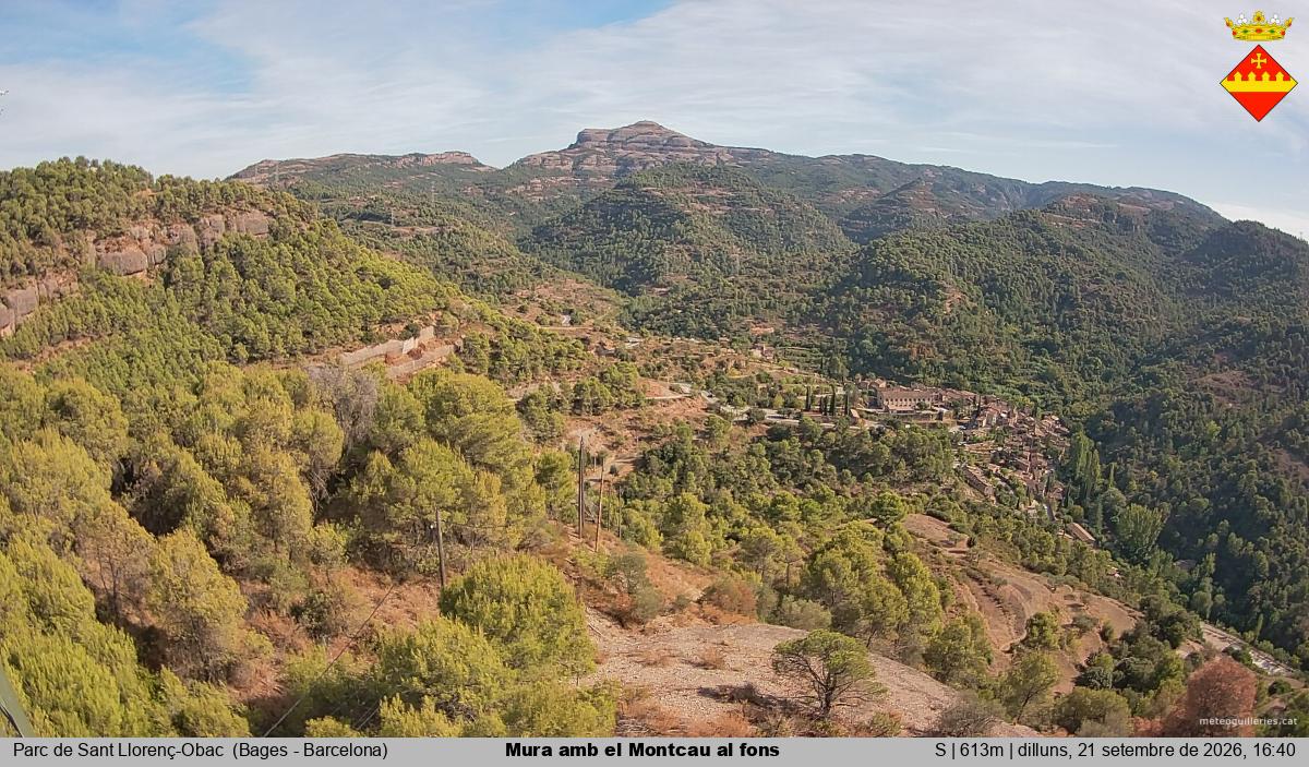Mura amb el Montcau al fons
