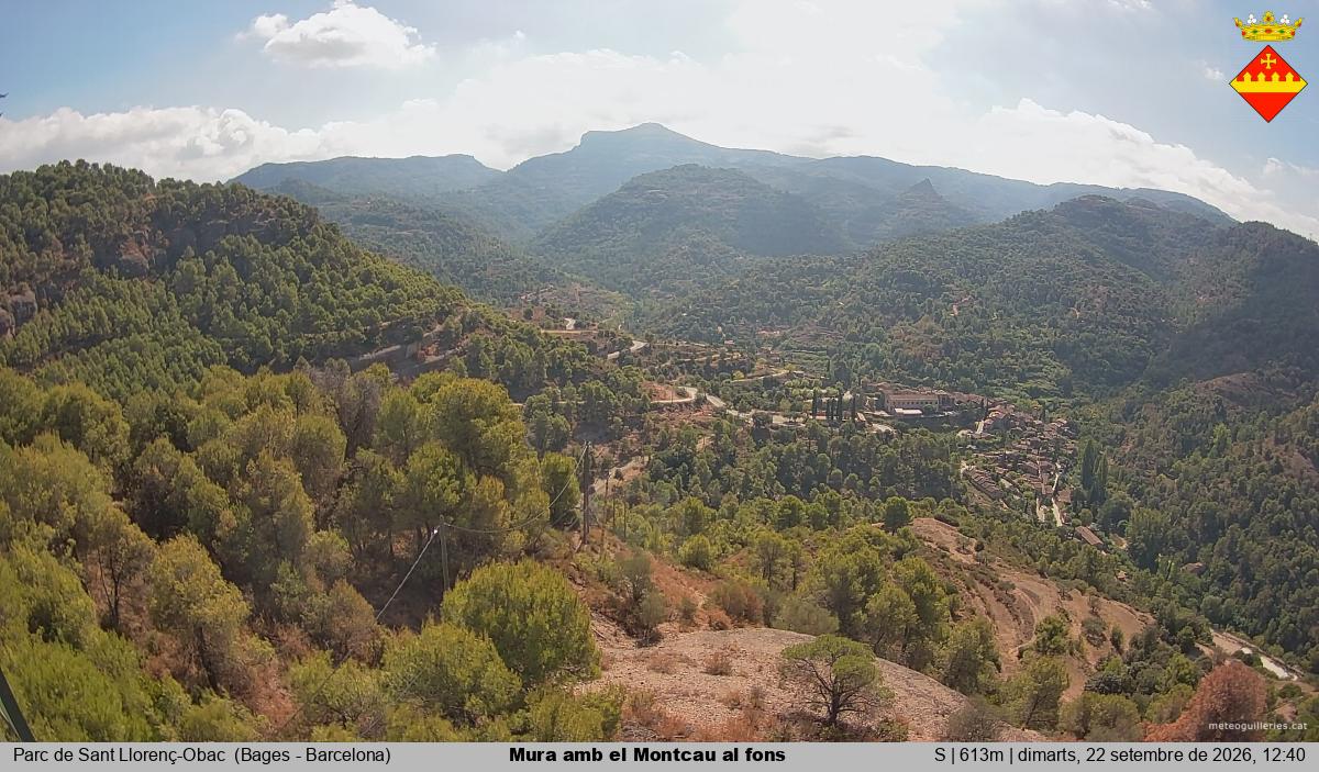 Mura amb el Montcau al fons