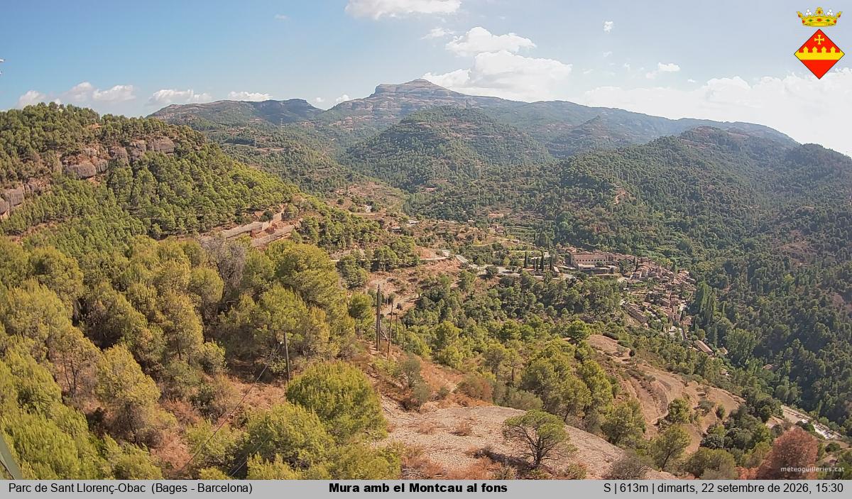 Mura amb el Montcau al fons