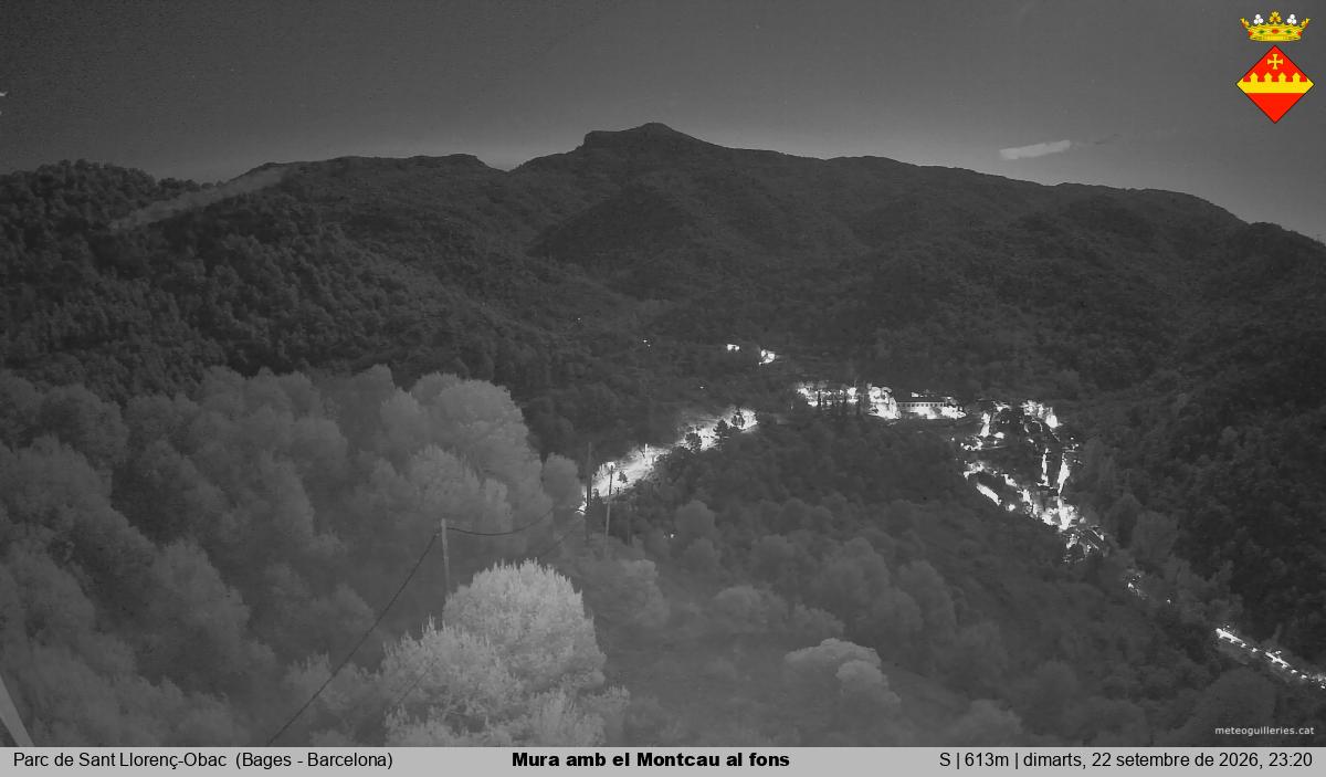 Mura amb el Montcau al fons