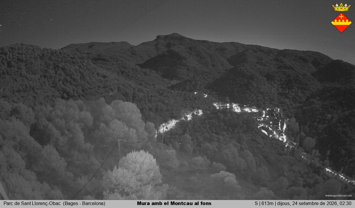 Mura amb el Montcau al fons