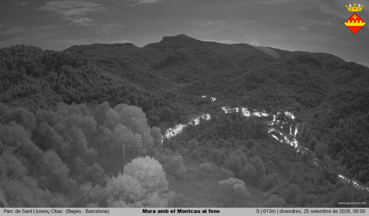 Mura amb el Montcau al fons