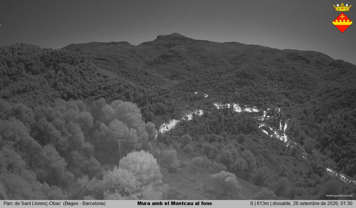 Mura amb el Montcau al fons