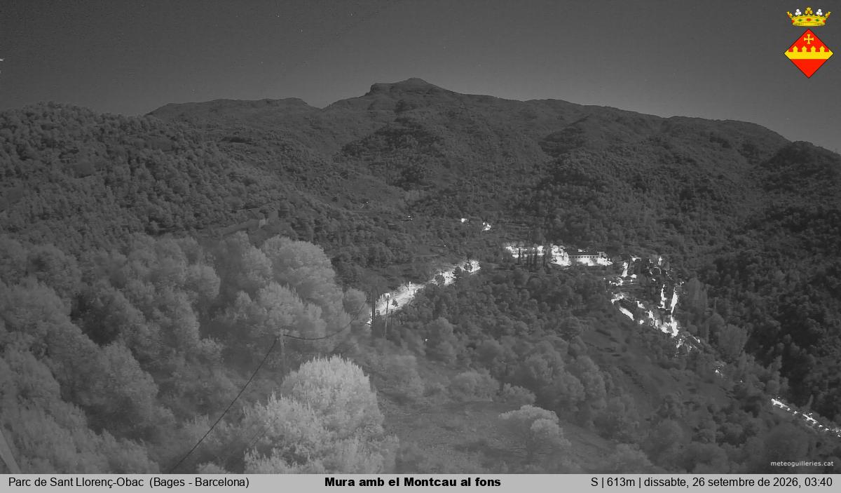 Mura amb el Montcau al fons