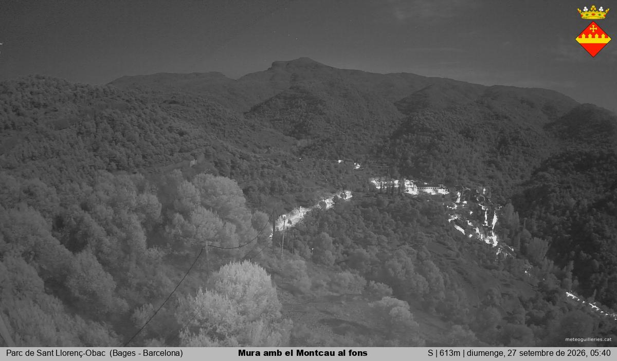Mura amb el Montcau al fons