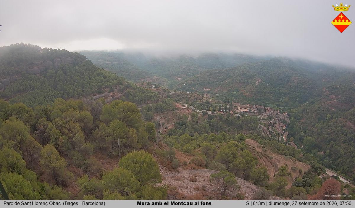 Mura amb el Montcau al fons