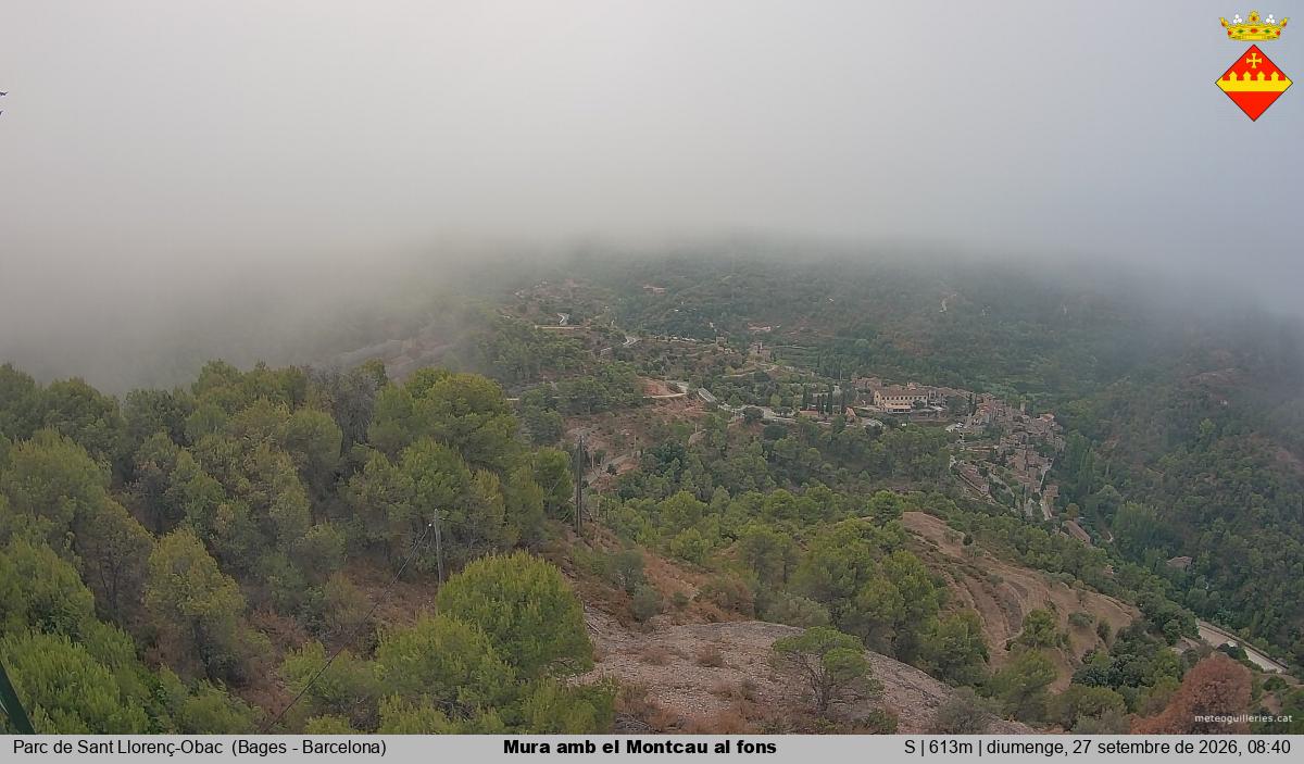 Mura amb el Montcau al fons