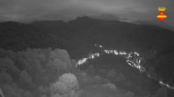 Webcams