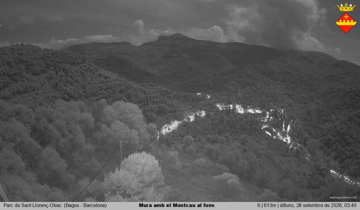 Mura amb el Montcau al fons