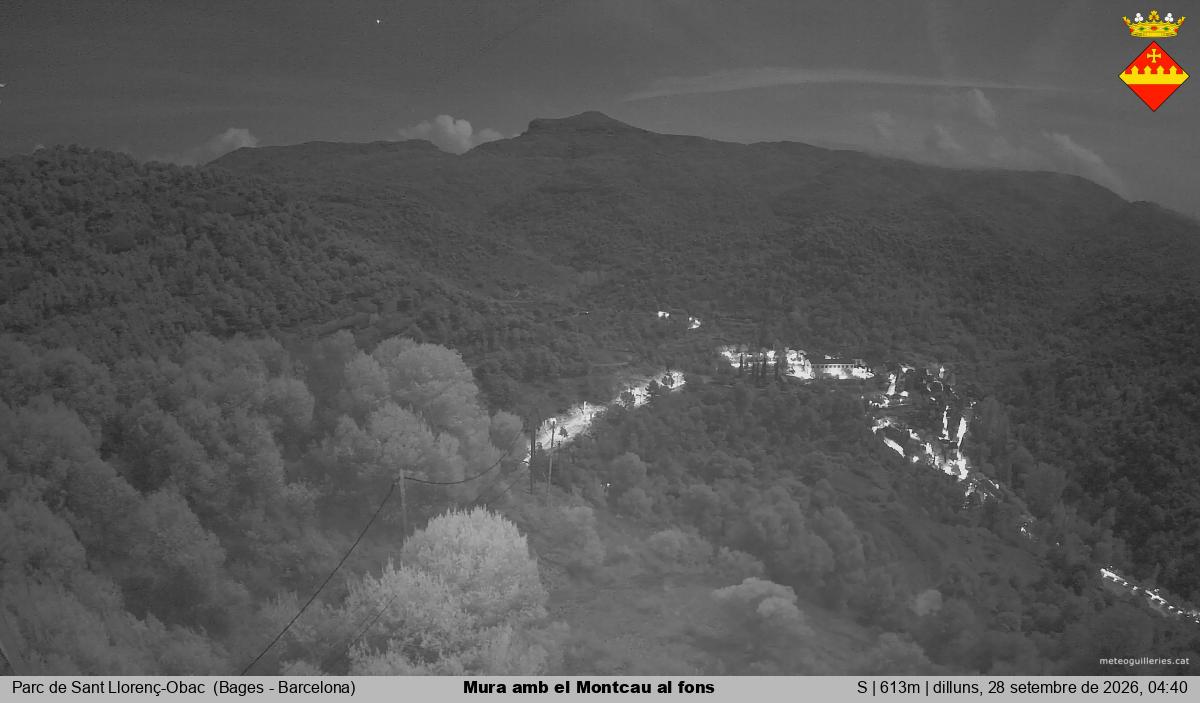 Mura amb el Montcau al fons