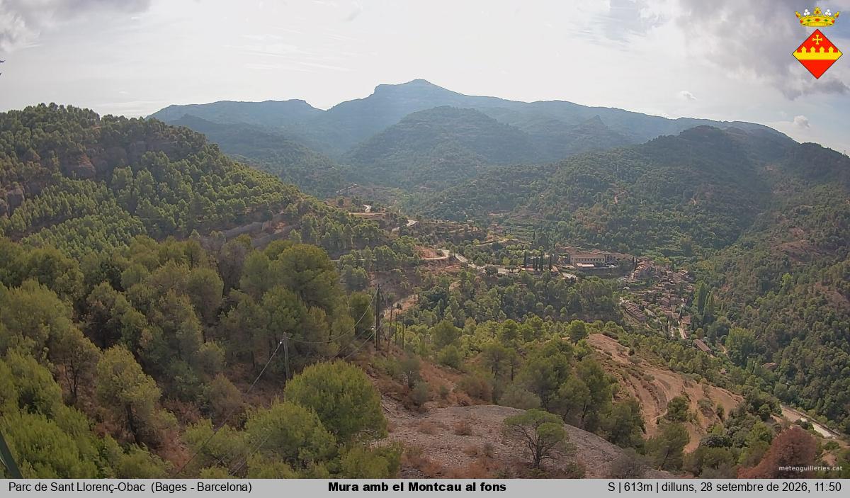 Mura amb el Montcau al fons