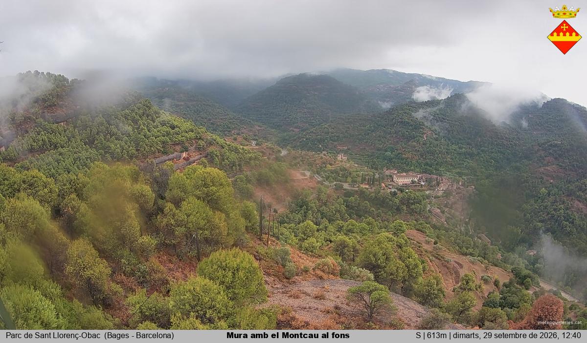 Mura amb el Montcau al fons
