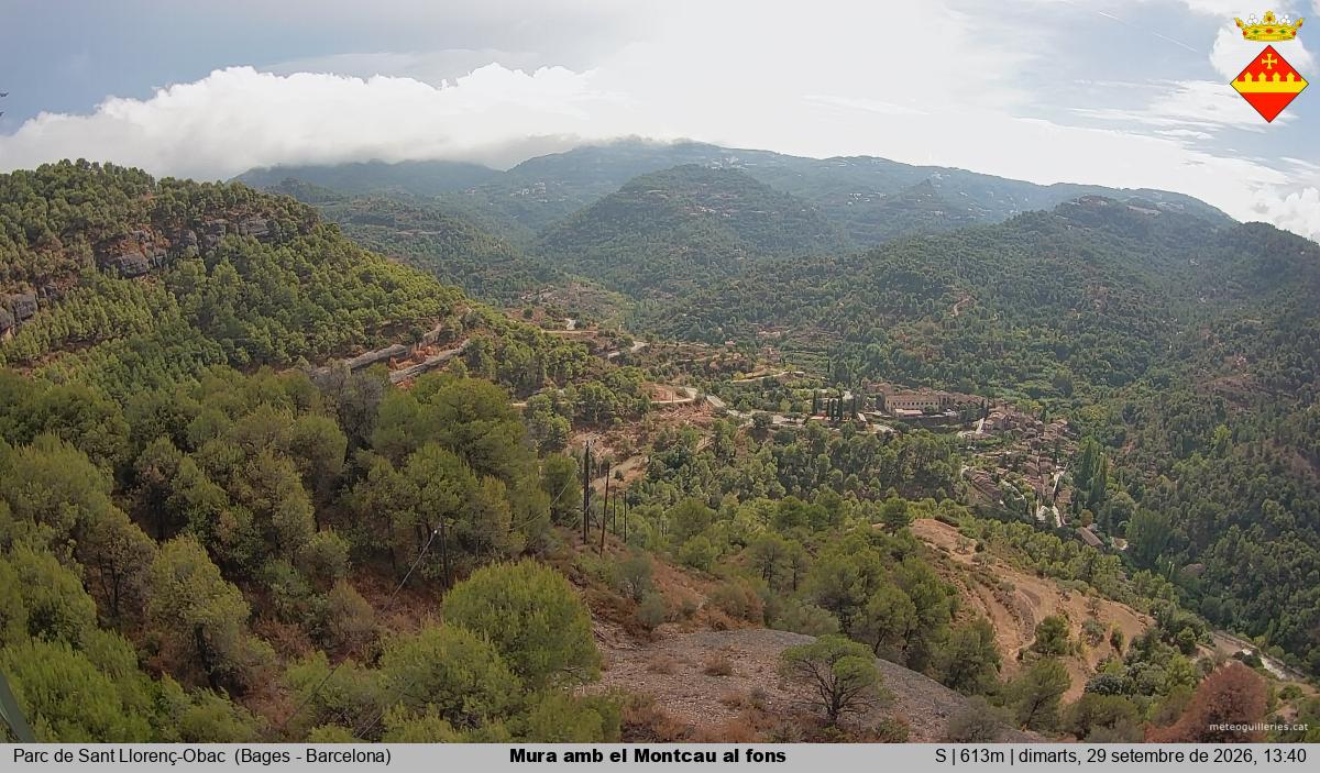 Mura amb el Montcau al fons