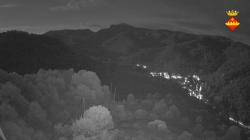 Webcams