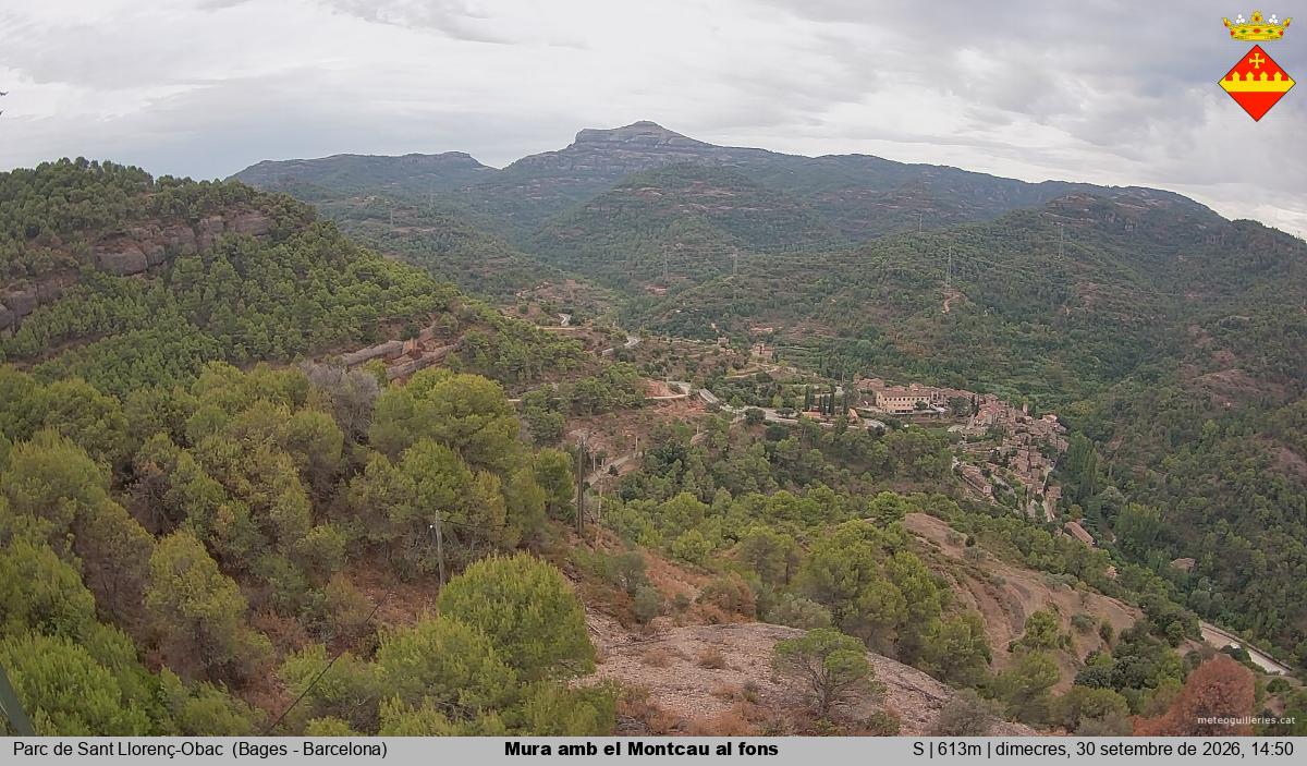 Mura amb el Montcau al fons