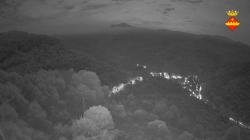 Webcams