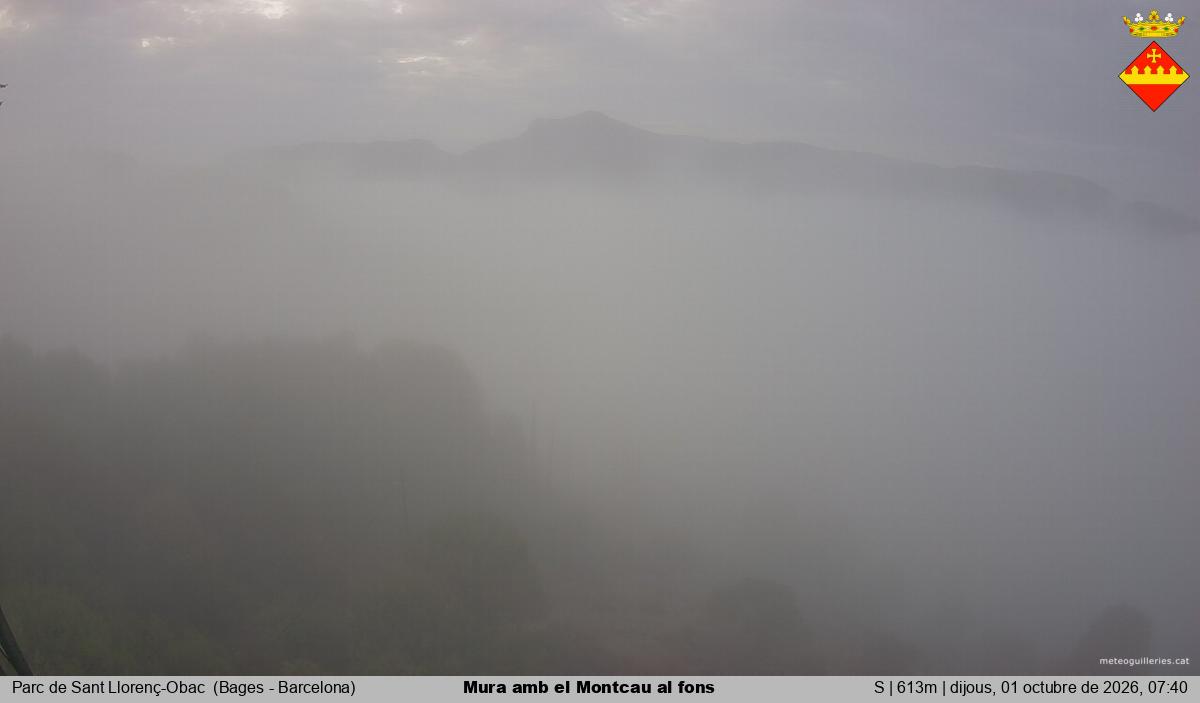 Mura amb el Montcau al fons