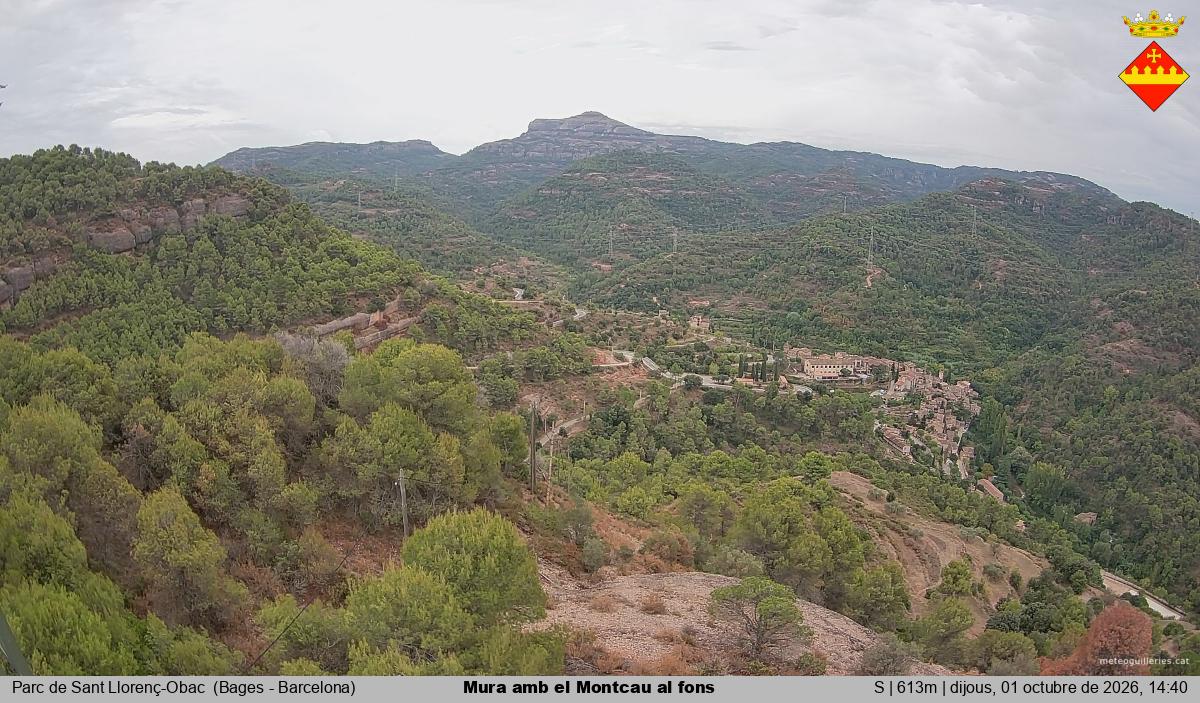Mura amb el Montcau al fons