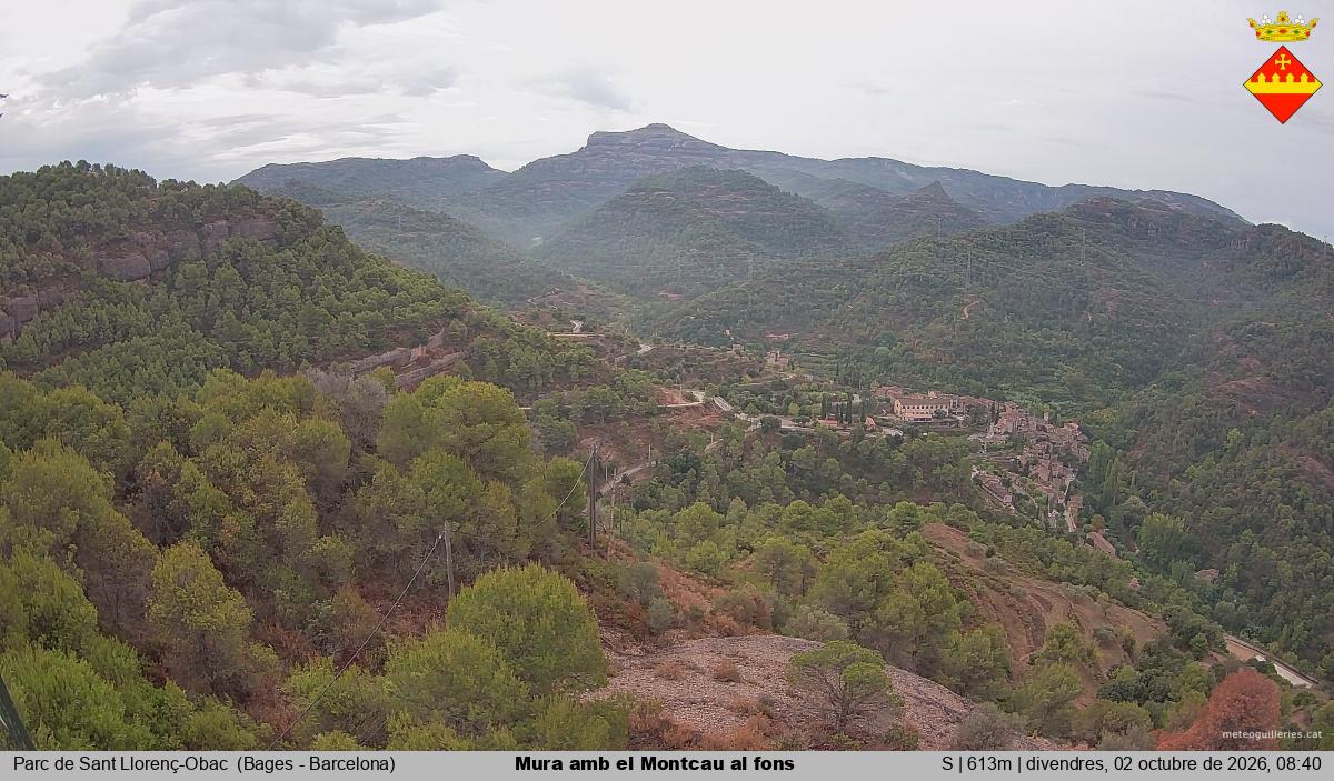 Mura amb el Montcau al fons