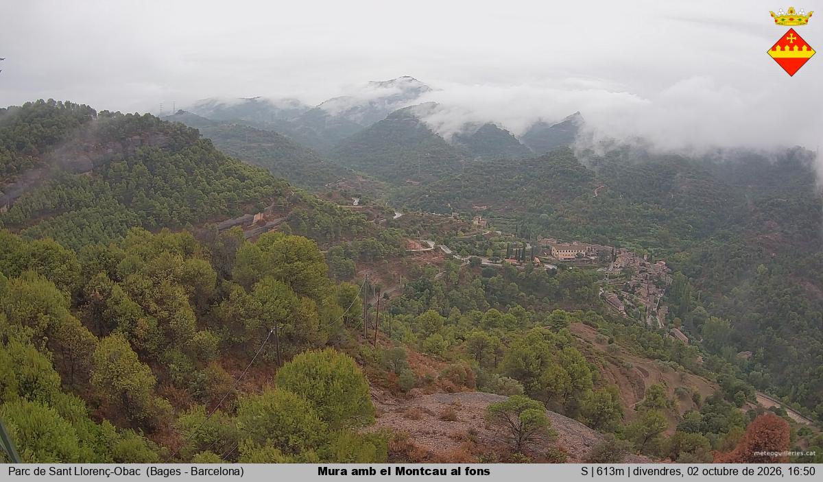 Mura amb el Montcau al fons