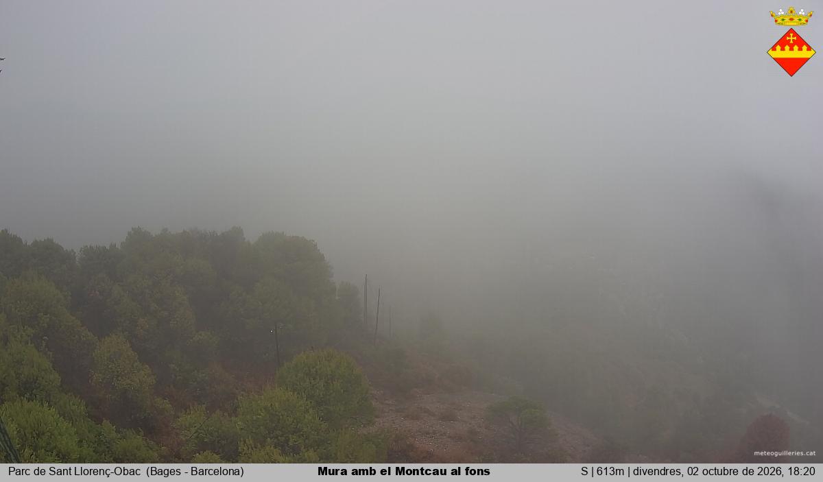 Mura amb el Montcau al fons