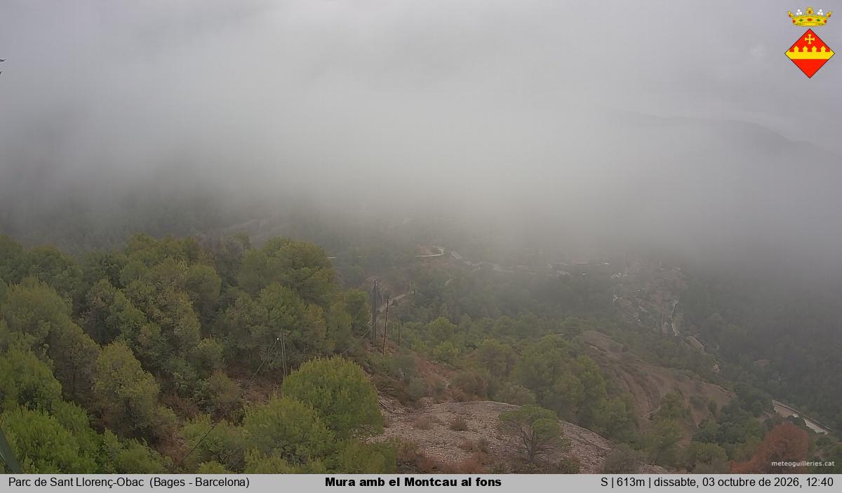 Mura amb el Montcau al fons