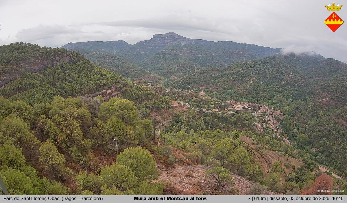 Mura amb el Montcau al fons