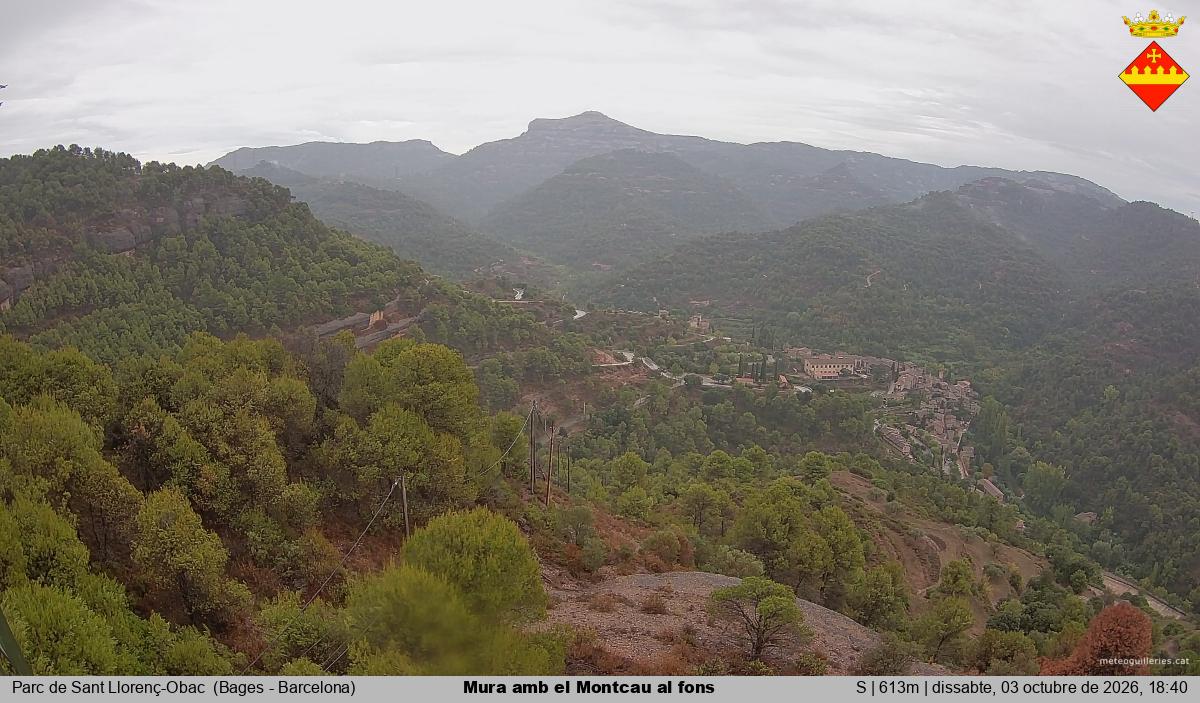 Mura amb el Montcau al fons