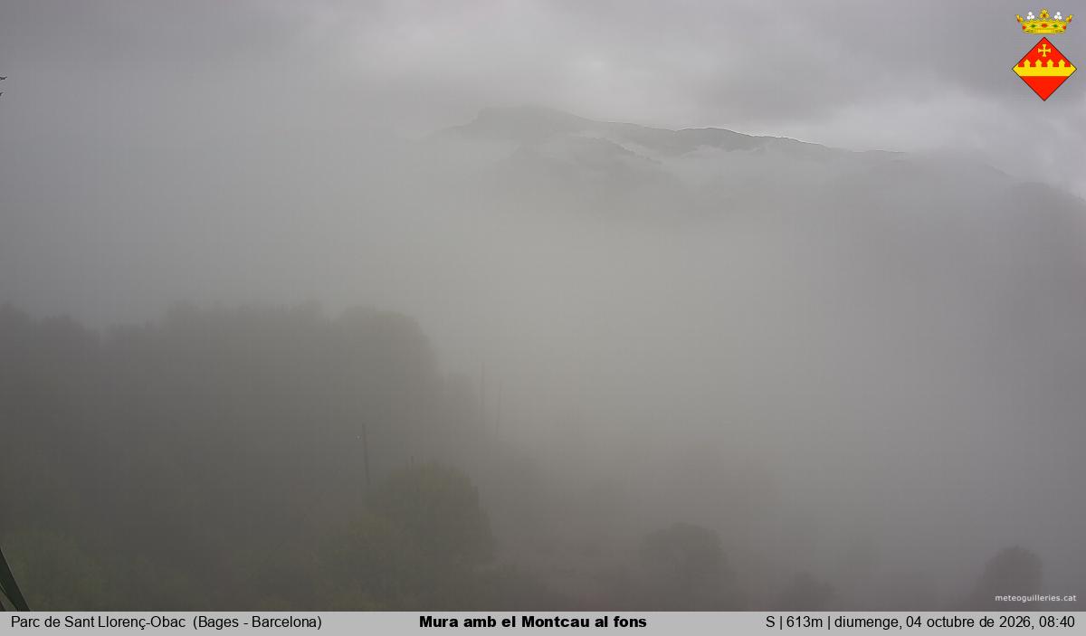 Mura amb el Montcau al fons