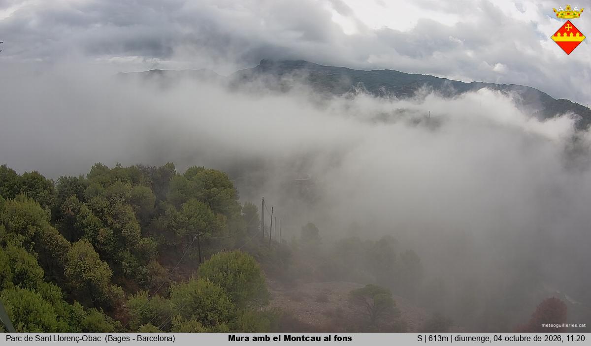 Mura amb el Montcau al fons